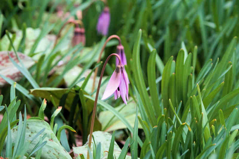 ���悤������������Ⴂ�܂����I