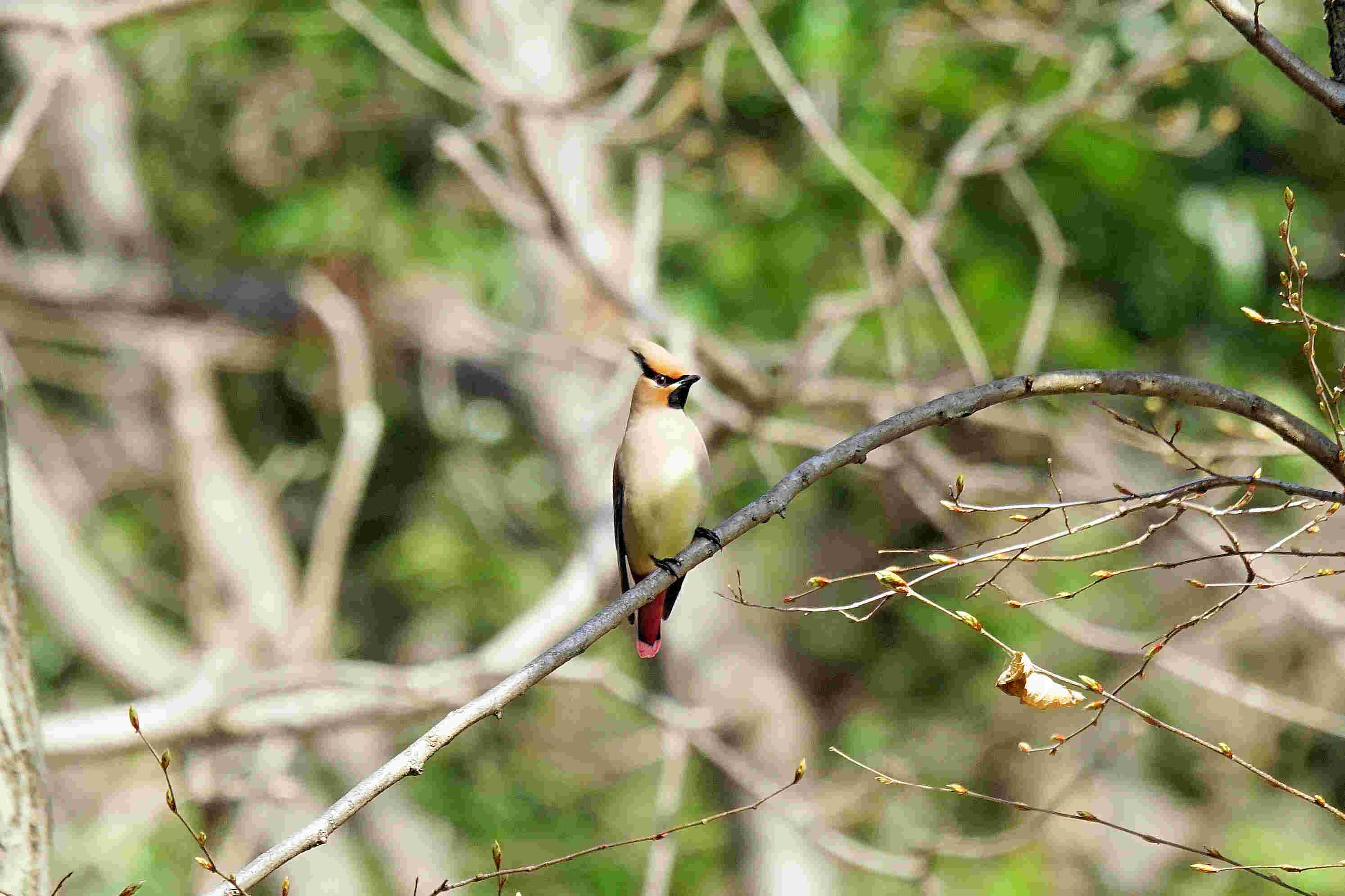 ���悤������������Ⴂ�܂����I