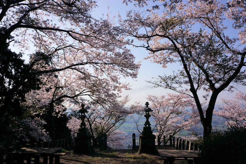 ���悤������������Ⴂ�܂����I