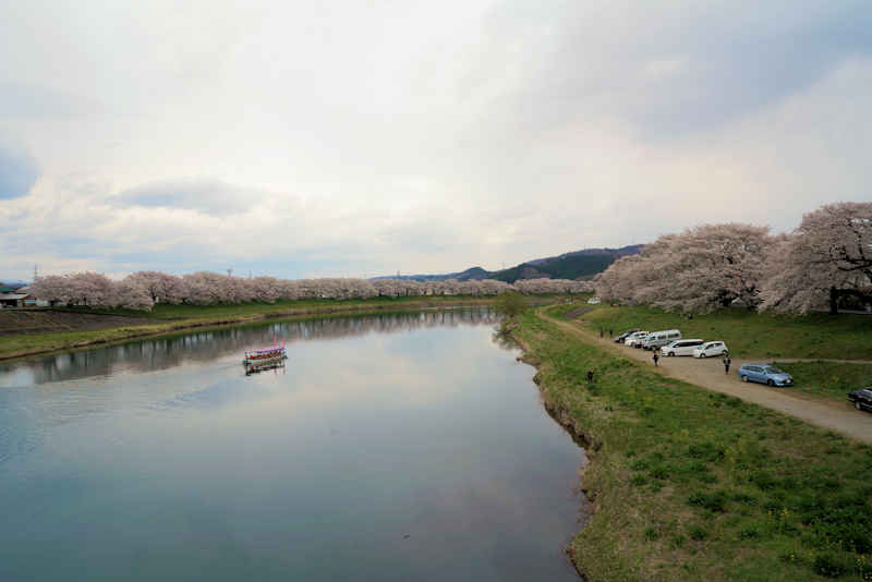 ���悤������������Ⴂ�܂����I