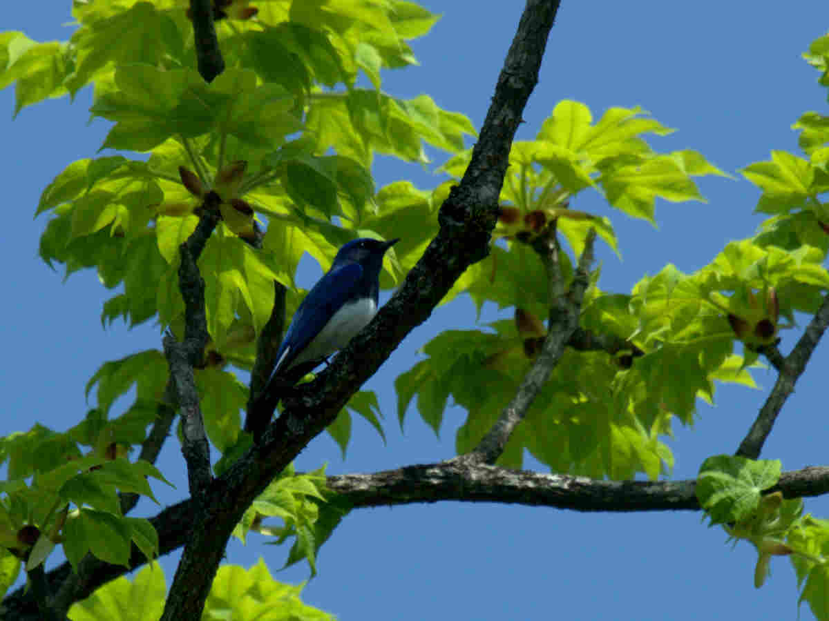 ���悤������������Ⴂ�܂����I