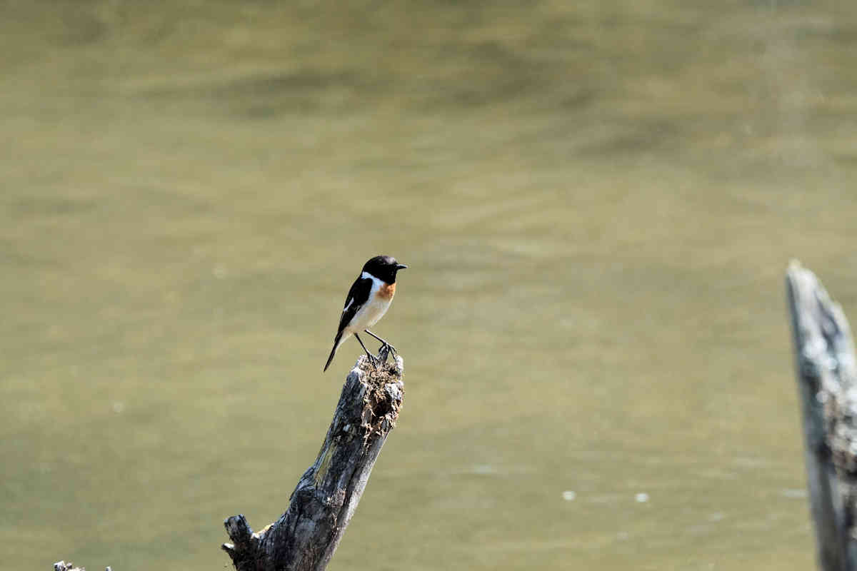 ���悤������������Ⴂ�܂����I