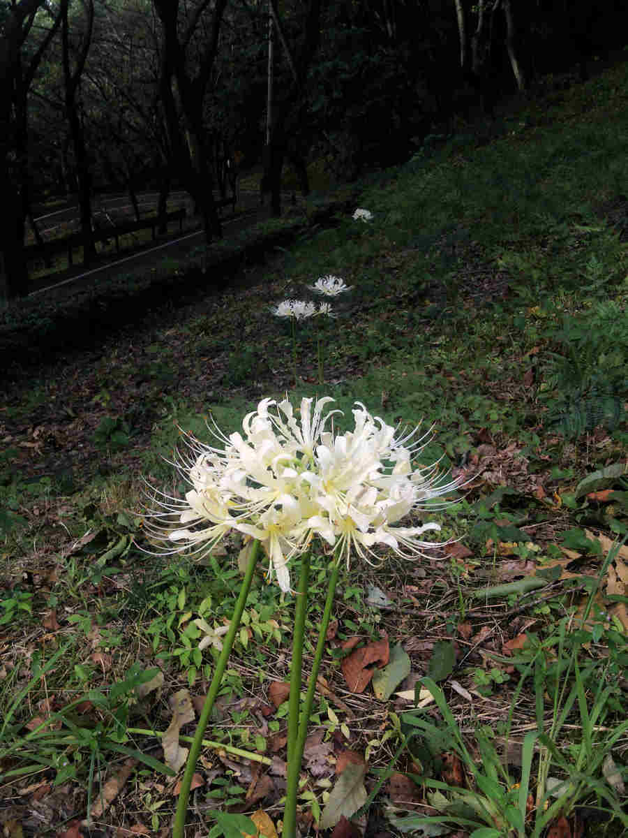 ���悤������������Ⴂ�܂����I