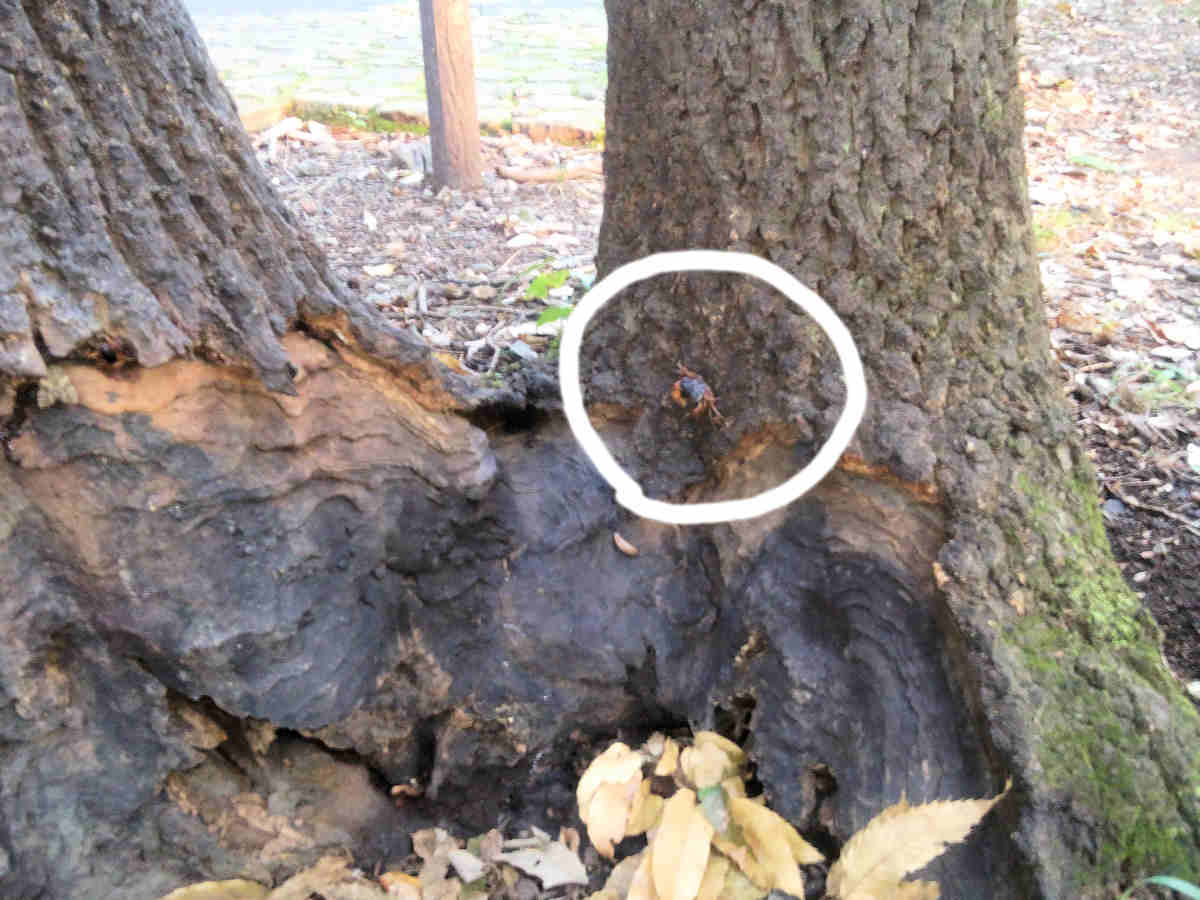 ���悤������������Ⴂ�܂����I