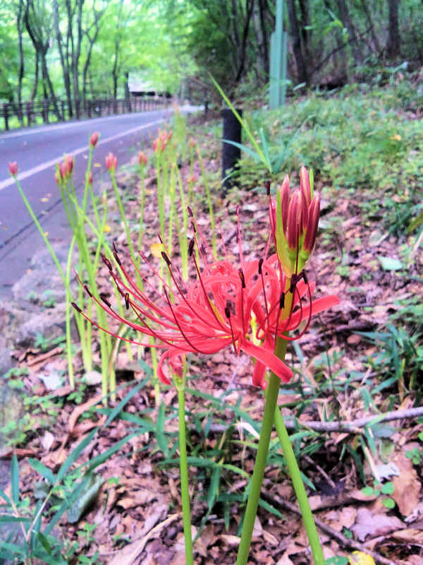 ���悤������������Ⴂ�܂����I