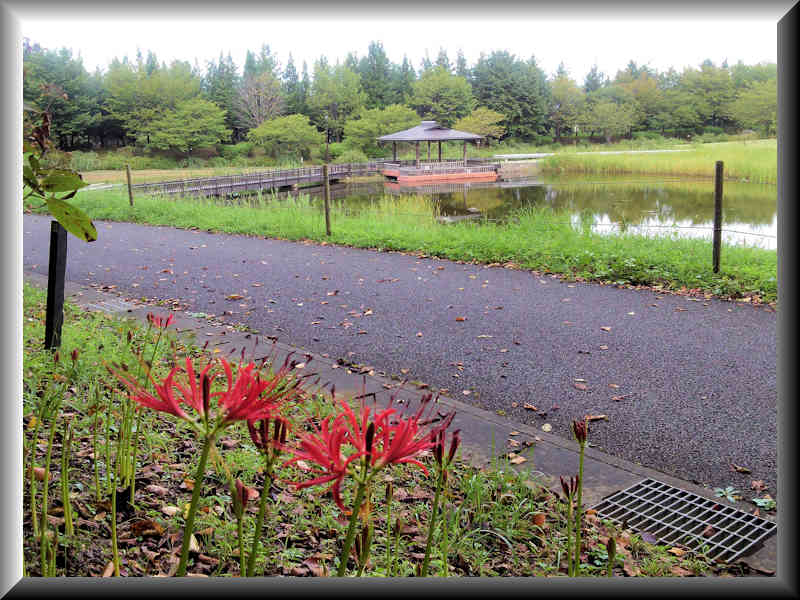 ���悤������������Ⴂ�܂����I