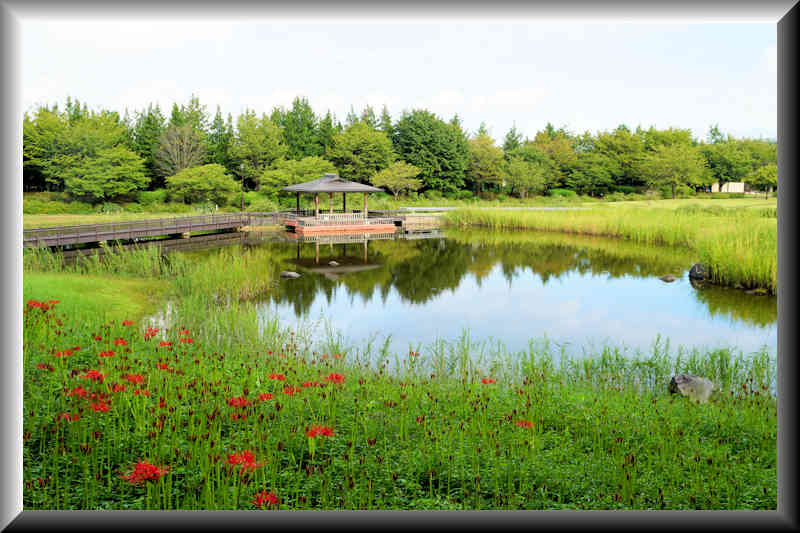 ���悤������������Ⴂ�܂����I