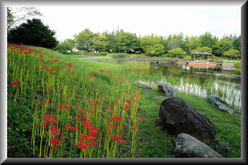 ���悤������������Ⴂ�܂����I