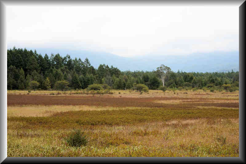 ���悤������������Ⴂ�܂����I