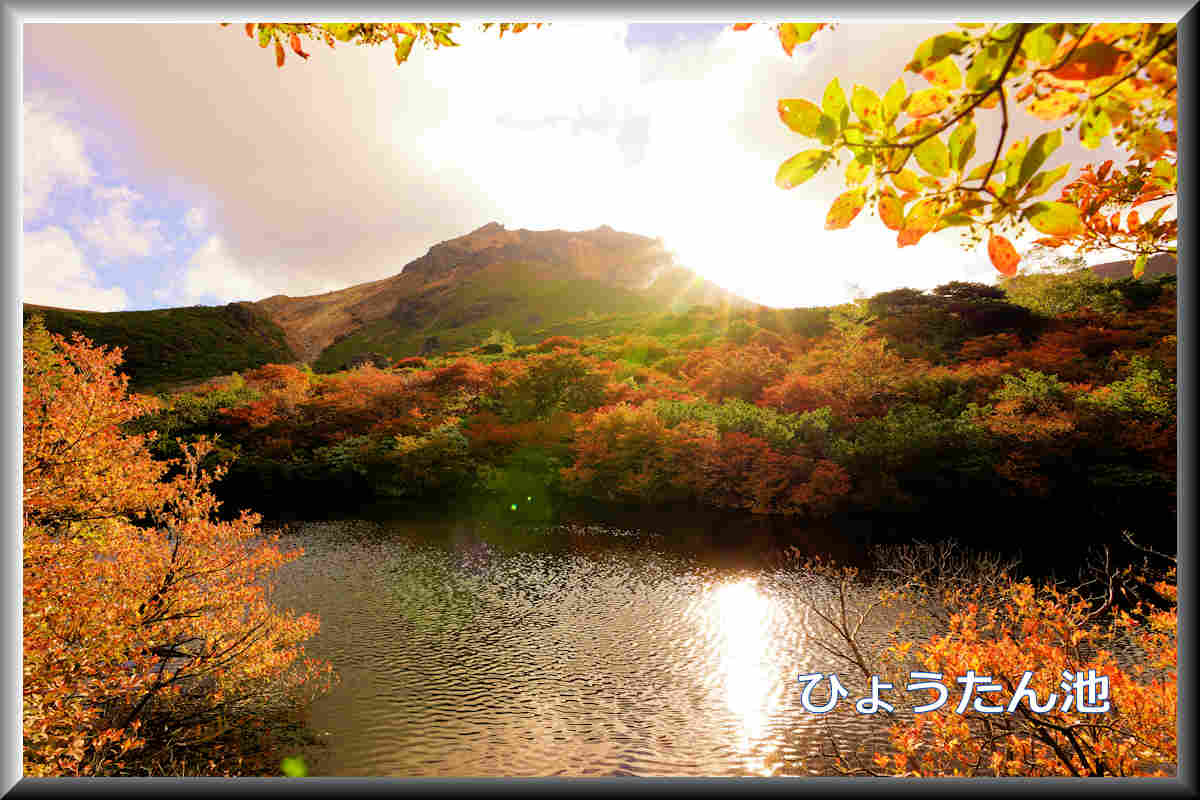 ���悤������������Ⴂ�܂����I