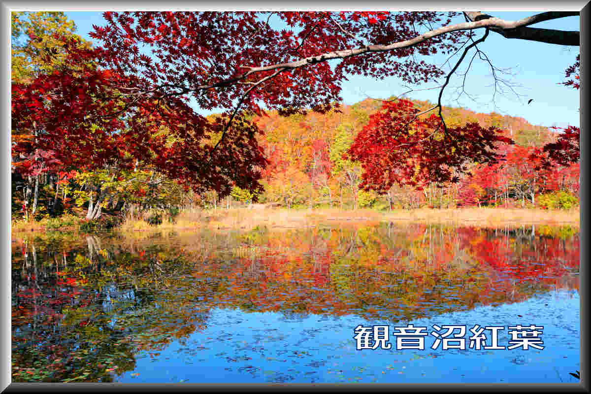 ���悤������������Ⴂ�܂����I