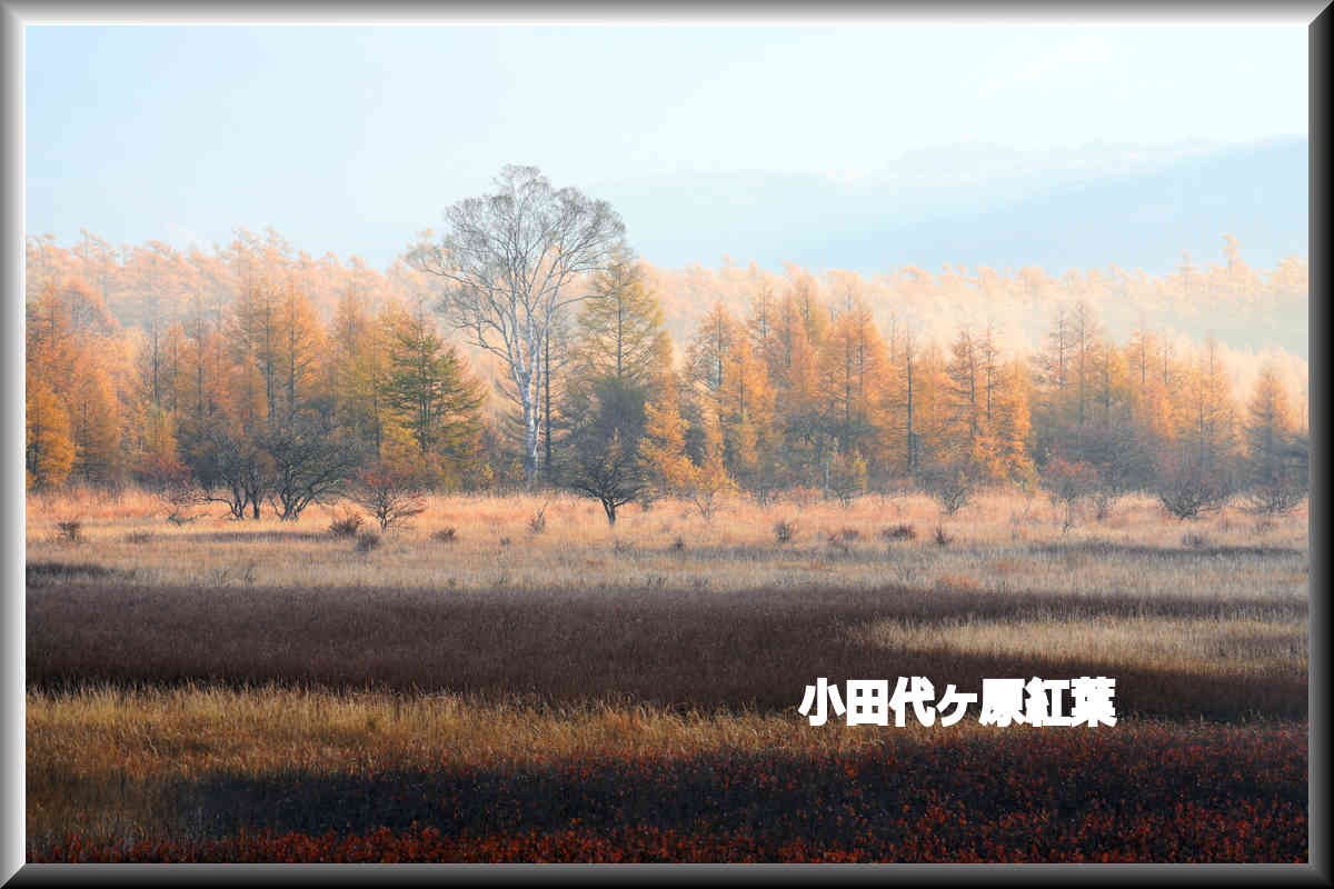 ���悤������������Ⴂ�܂����I