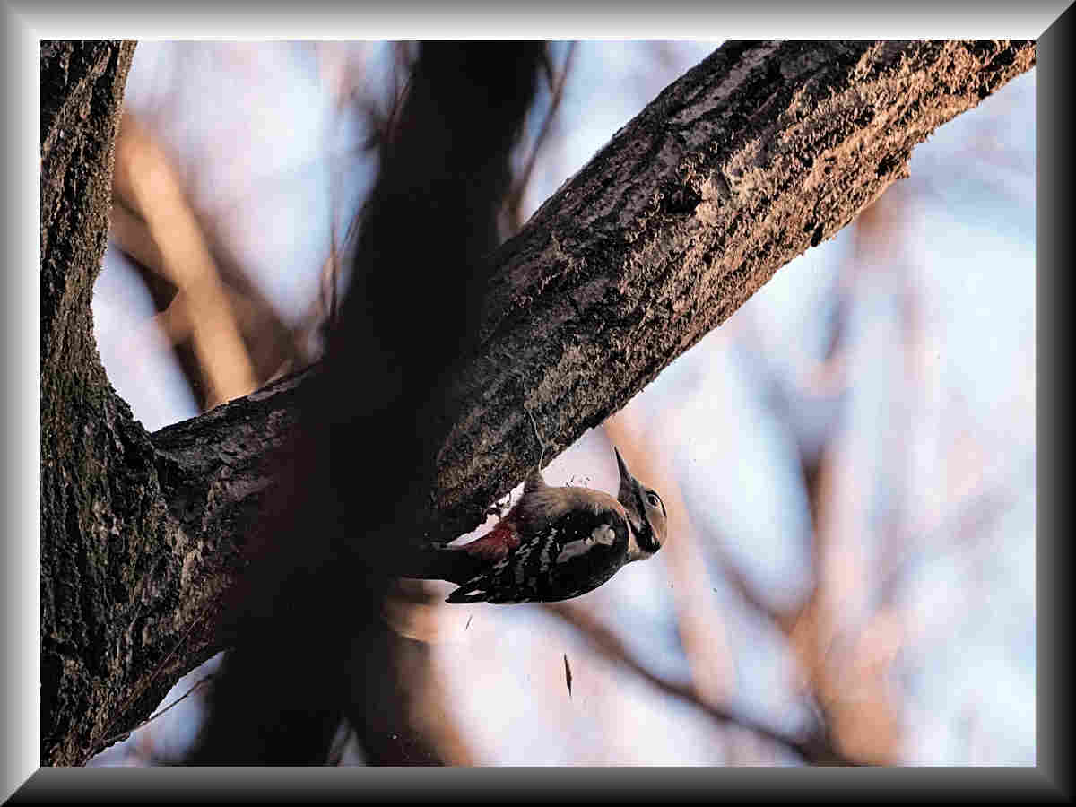 ���悤������������Ⴂ�܂����I