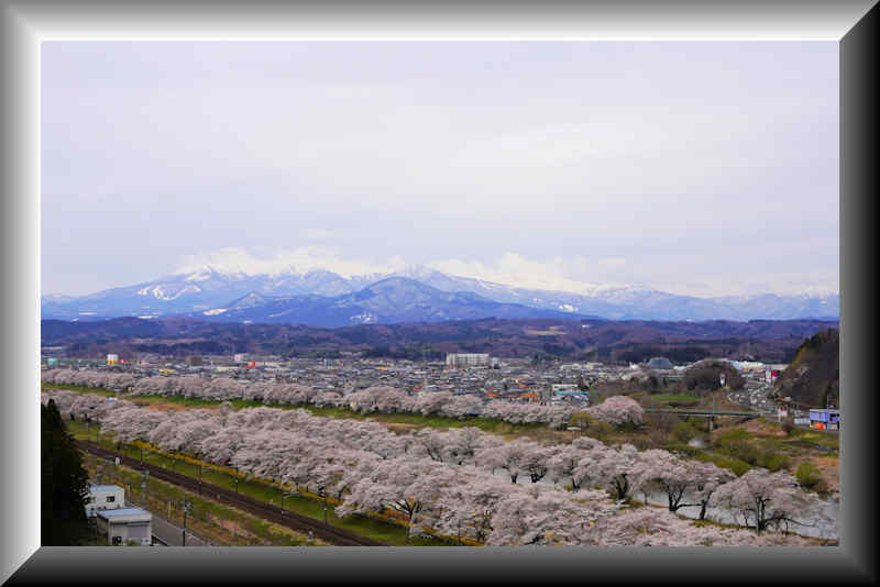 ���悤������������Ⴂ�܂����I