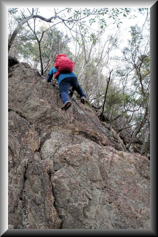 ���悤������������Ⴂ�܂����I