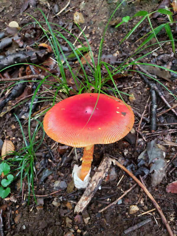 ���悤������������Ⴂ�܂����I