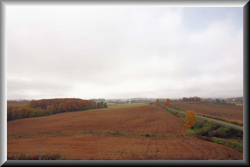 ���悤������������Ⴂ�܂����I