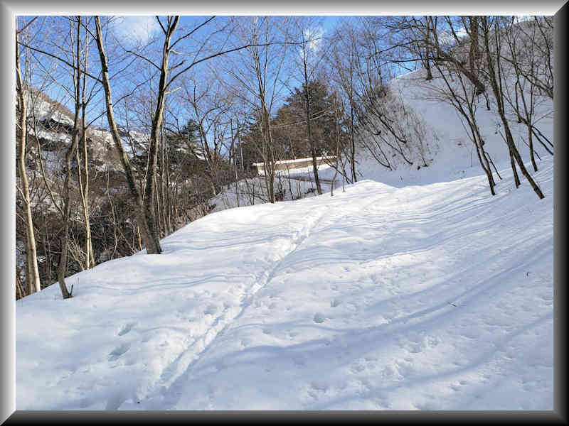 ���悤������������Ⴂ�܂����I