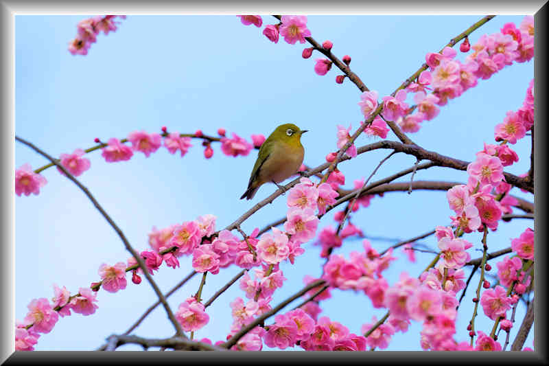 ���悤������������Ⴂ�܂����I