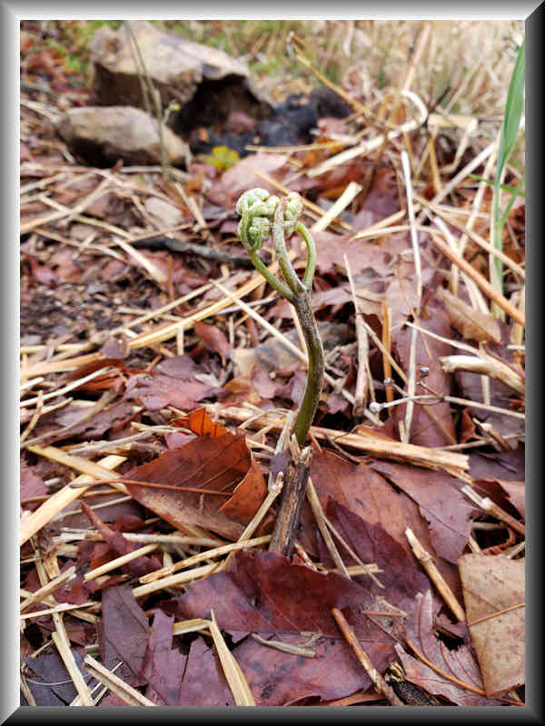 ���悤������������Ⴂ�܂����I