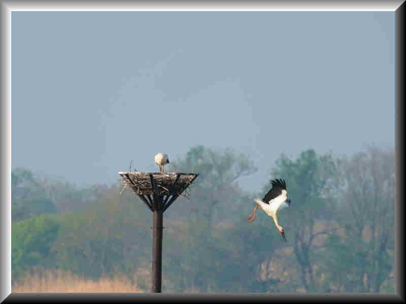 ���悤������������Ⴂ�܂����I