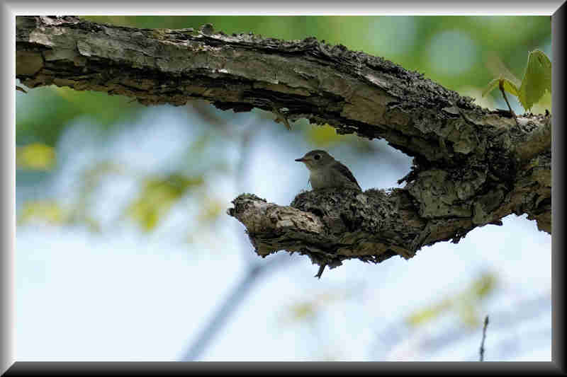 ���悤������������Ⴂ�܂����I