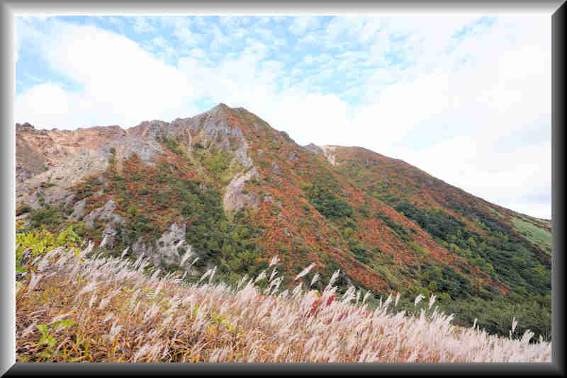 ���悤������������Ⴂ�܂����I