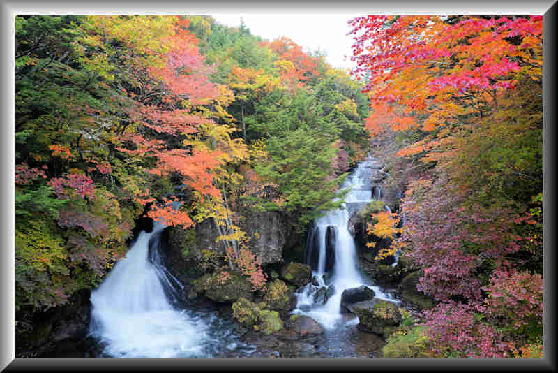 ���悤������������Ⴂ�܂����I