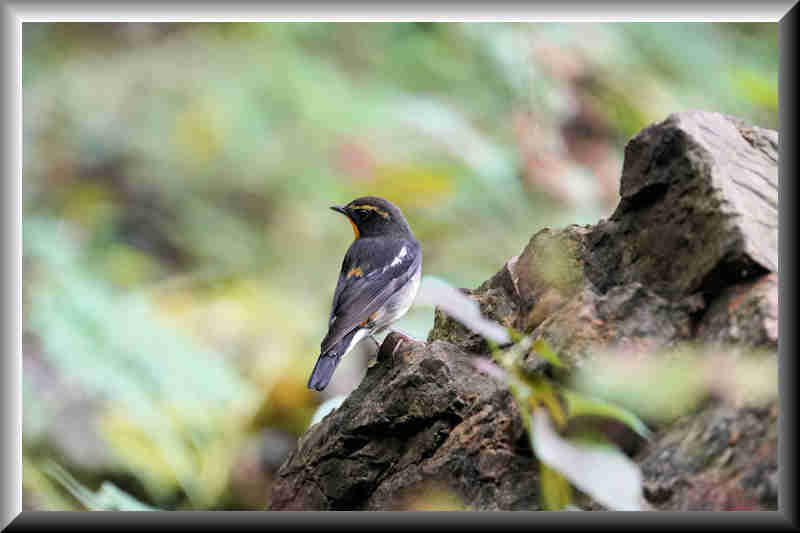 ���悤������������Ⴂ�܂����I