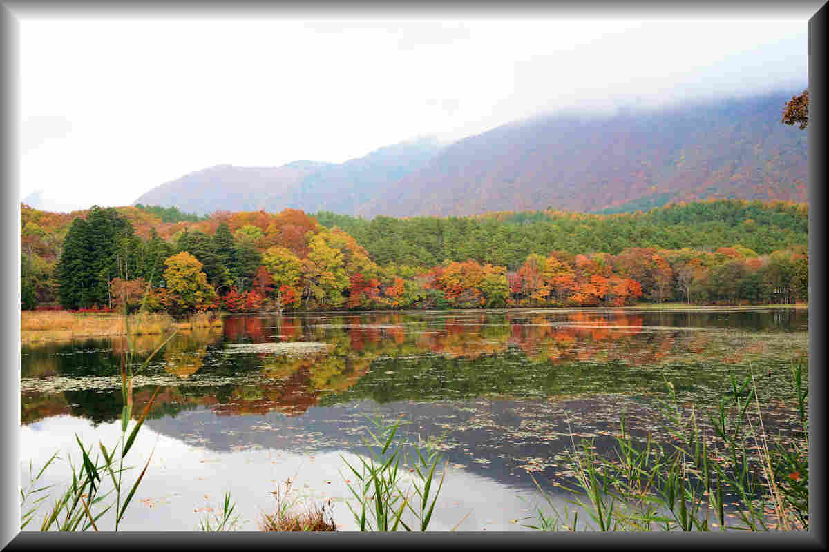 ���悤������������Ⴂ�܂����I