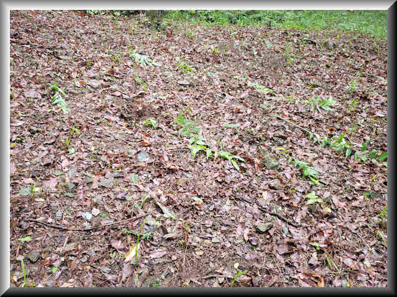 ���悤������������Ⴂ�܂����I