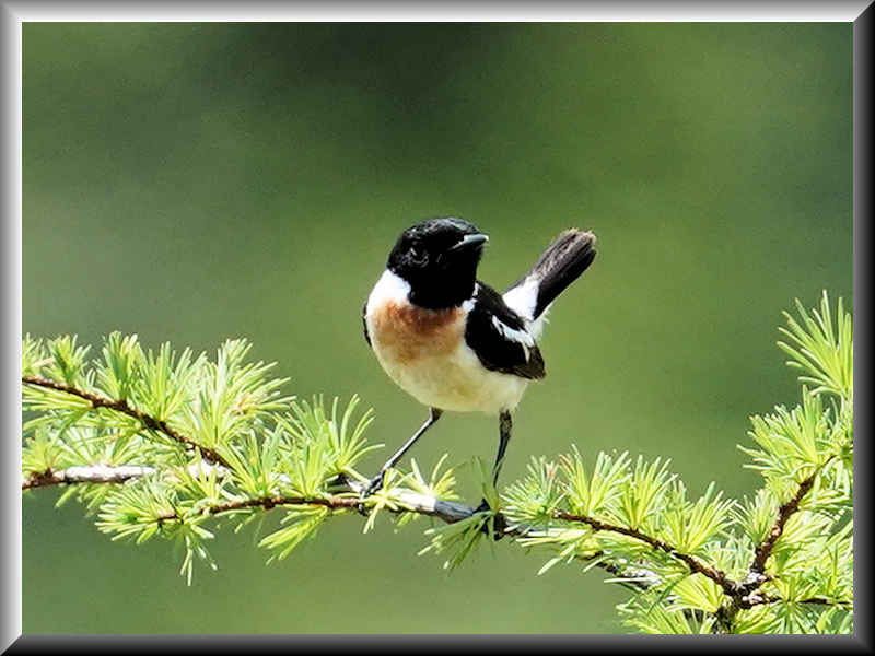 ���悤������������Ⴂ�܂����I