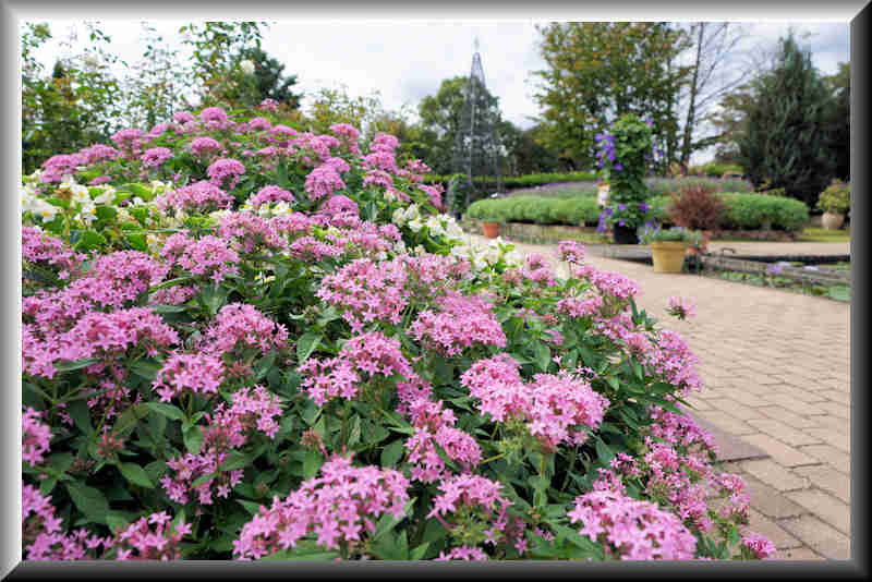 ���悤������������Ⴂ�܂����I