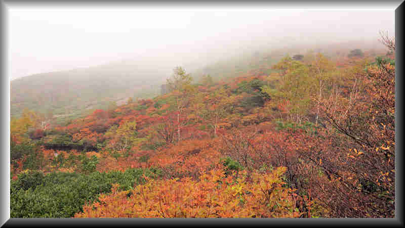 ���悤������������Ⴂ�܂����I