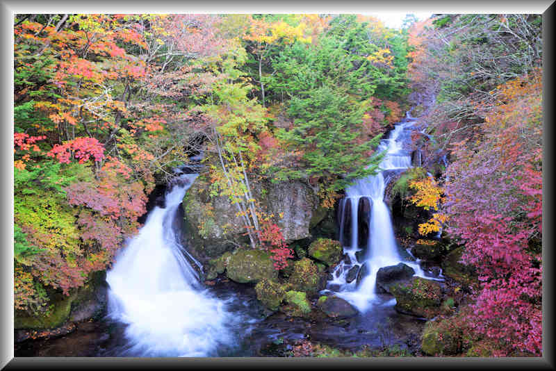 ���悤������������Ⴂ�܂����I