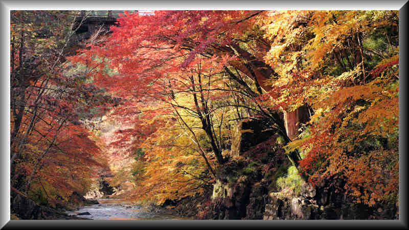 ���悤������������Ⴂ�܂����I