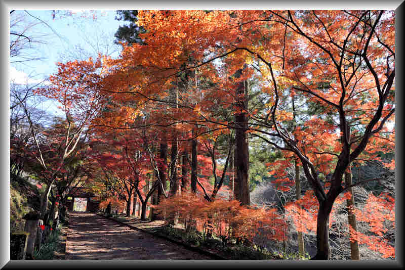 ���悤������������Ⴂ�܂����I