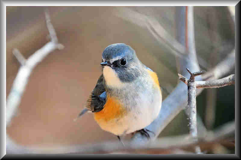 ���悤������������Ⴂ�܂����I