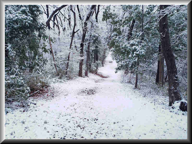 ���悤������������Ⴂ�܂����I