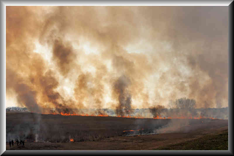 ���悤������������Ⴂ�܂����I