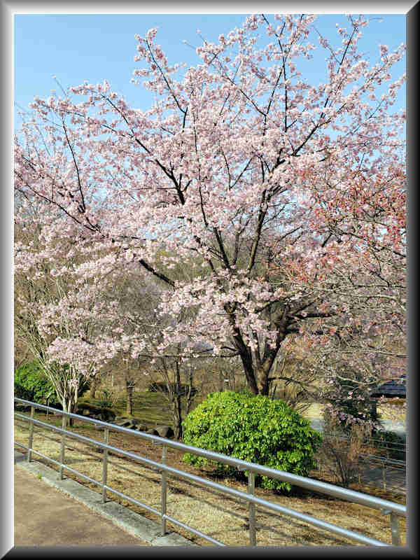 ���悤������������Ⴂ�܂����I