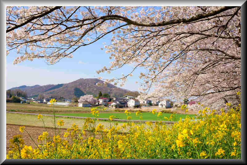 ���悤������������Ⴂ�܂����I