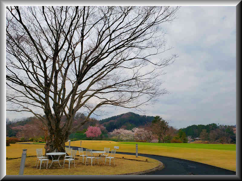 ���悤������������Ⴂ�܂����I