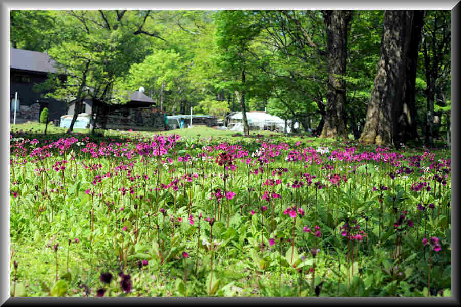 ���悤������������Ⴂ�܂����I