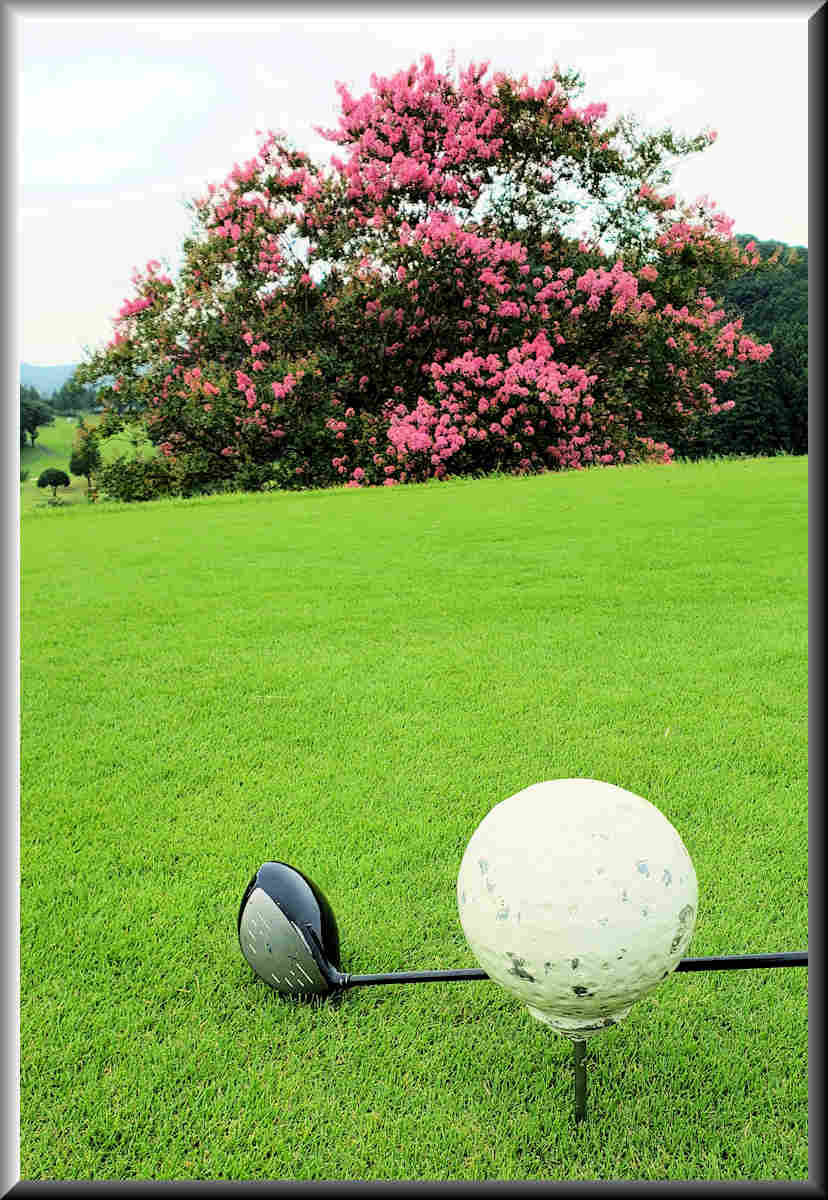 ���悤������������Ⴂ�܂����I