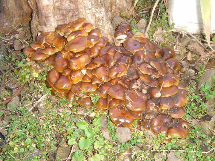 ���悤������������Ⴂ�܂����I