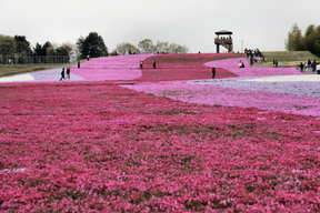 ���悤������������Ⴂ�܂����I