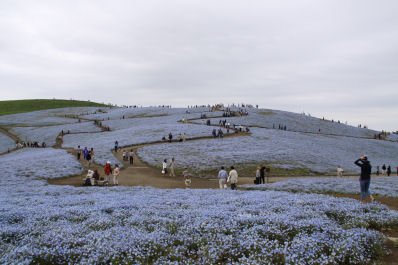 ���悤������������Ⴂ�܂����I