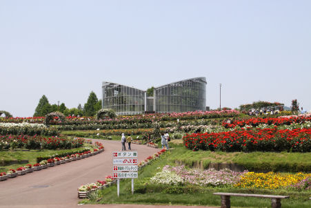 ���悤������������Ⴂ�܂����I