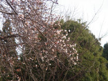 ���悤������������Ⴂ�܂����I